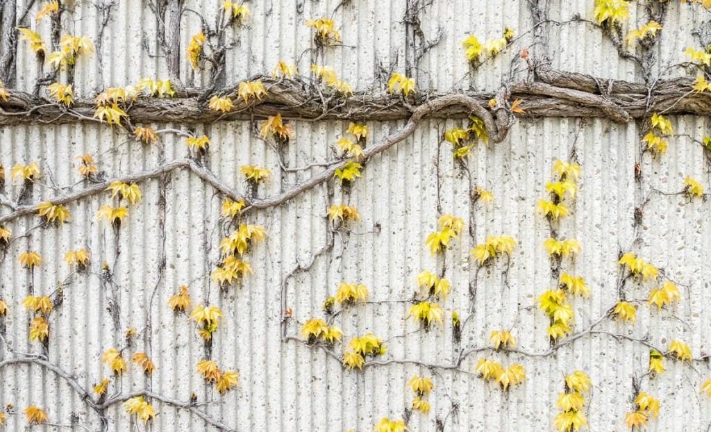 Apart from me you can do&nbsp;nothing